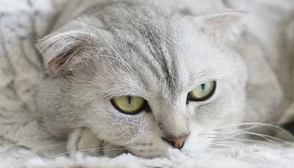 必一运动：动起来的选择，改变从现在开始